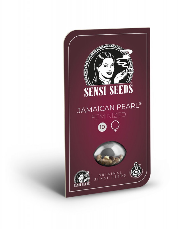 Jamaican Pearl - 5 ks feminizovaná semena Sensi Seeds