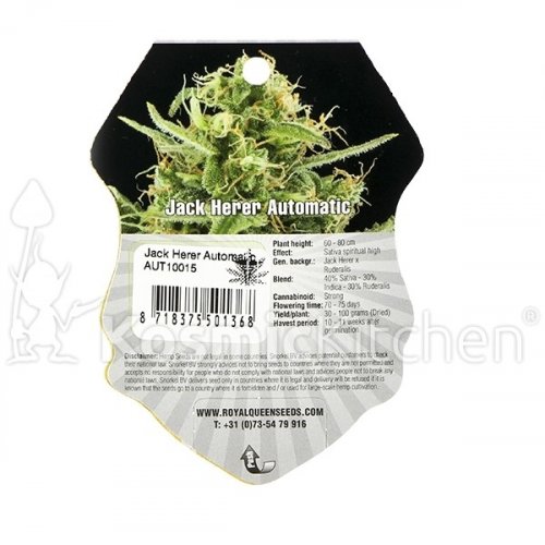Royal Jack Automatic - feminized And autoflowering seeds 10 pcs Royal Queen Seeds