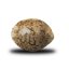 Fruit Spirit - feminizované semienka 3 ks Royal Queen Seeds
