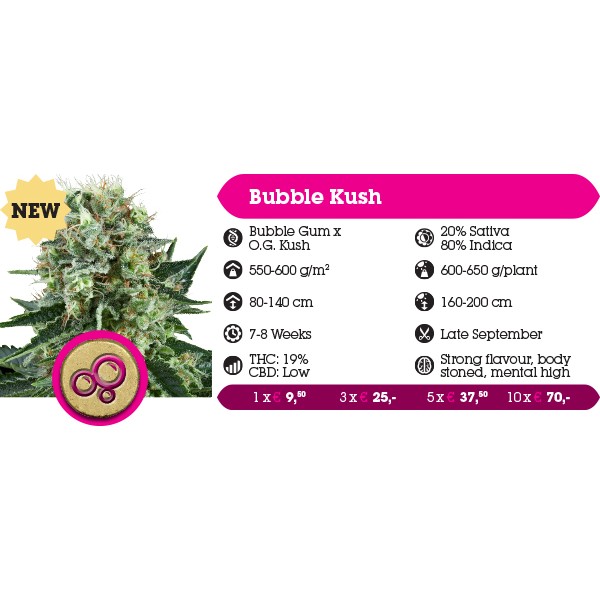 Bubble Kush - feminizované semená 10 ks Royal Queen Seeds