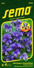 Phacelia congesta Fiona – seeds