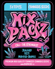 MIX PACKZ Cali High Voltage, feminizovaná semena, 33 ks