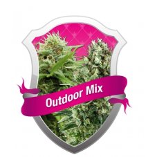 Outdoor Mix - feminizovaná semínka 10 ks Royal Queen Seeds