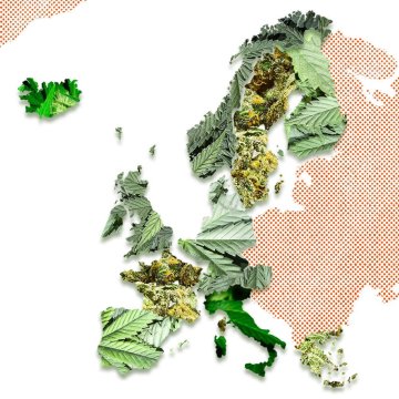 Legalität von Cannabis in Europa