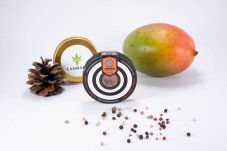 Swiss Dream CBD - 5ks feminizovaná semienka Kannabia Seeds