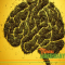 The Impact of Medicinal Cannabis on Mental Health