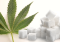 Hemp Sugar: How to Make and Use It?
