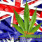 Cannabis consumption in Australia is significantly declining. Why?
