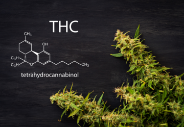 THC: Was ist das und was sind seine gesundheitlichen Vor- und Nachteile?