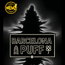 Seedstockers Barcelona Puff feminizované semienka
