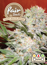 Great White Shark – feminizovaná semínka 10 ks Fair Seeds