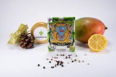 Sweet Skunk Fast Version – feminizovaná semínka 5 ks Sweet Seeds