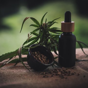 CBD als Antibiotikum: Kann es Antibiotikaresistenz bekämpfen?