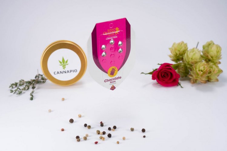 Chocolate Haze - feminizovaná semínka 3 ks Royal Queen Seeds