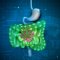 CBD in the Treatment of Colitis and Crohn's Disease