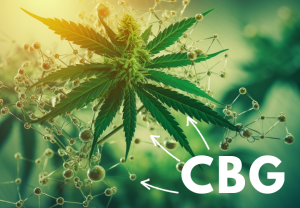 CBG: What you should know about its side effects