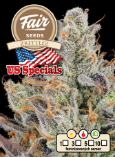 Fair Seeds Zkittlez feminisierte Samen