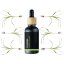 BIO Calamus - 100% natürliches ätherisches Öl (10ml)