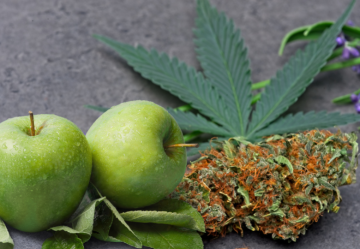 Farnesene: Il Terpene della Cannabis - Proprietà e Caratteristiche