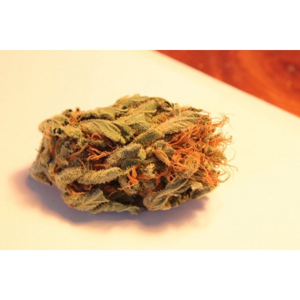 Red Diesel  – feminizovaná semínka 5 ks Barney Farms