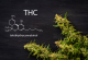 THC: What is it and what are its health advantages and disadvantages?