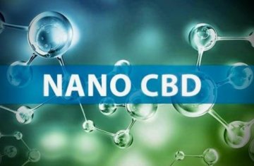 Nano CBD: Was ist Nanomedizin, ihre Vor- und Nachteile