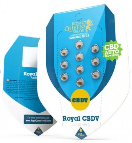 Royal CBDV Automatic - samokvitnúce semienka 3 ks Royal Queen Seeds