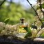 BIO Cajeput - 100% Natural Essential Oil (10ml) - Pistachio