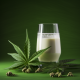 FROM HEMP SEEDS TO DELICIOUS MILK: HOW TO MAKE THE PERFECT HEMP MILK AT HOME!