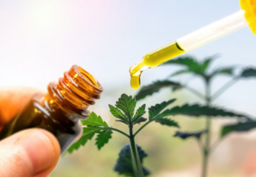 SIND CANNABINOIDE NUR IN CANNABIS ENTHALTEN?