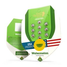 Watermelon Automatic - feminizované a samonakvétací semienka 10ks Royal Queen Seeds