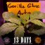 Gorilla Glue Auto - Autoflowering Marihuana Samen 3 Stück Barney's Farm