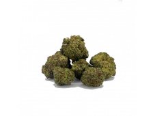 HHC Květy Bubblegum 2.0, CBDcko 25g