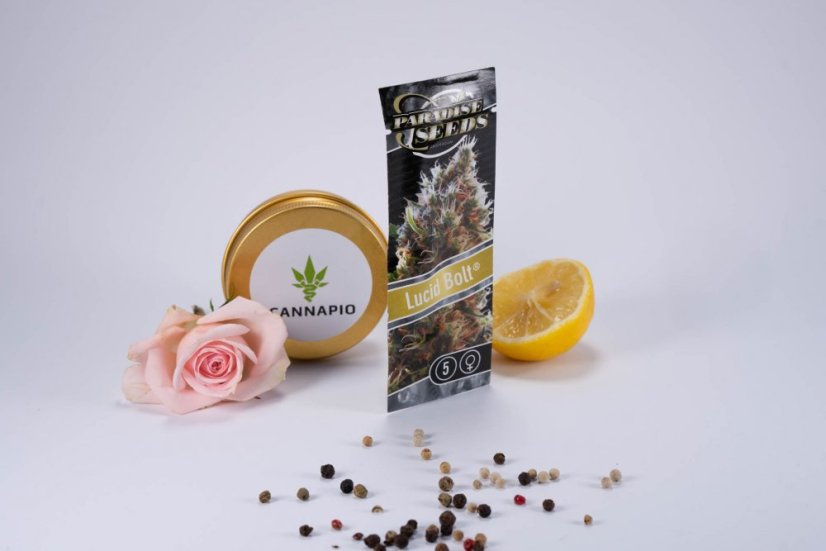 Lucid Bolt - 5 ks feminizovaná semínka Paradise Seeds