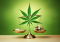 Low Price, Low Quality: Why Not to Buy Cheap CBD Oil?