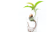 How to Grow Hydroponically