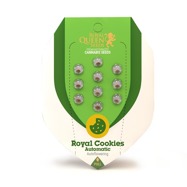 Royal Cookies Automatic - samonakvétací semínka 3ks Royal Queen Seeds