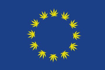 Anbau von medizinischem Cannabis - Unternehmen, die in Europa anbauen