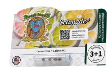 Sweet Seeds Gelonade feminizované semienka