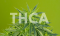 THC vs THCA: What's the Difference?