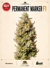 Fair Seeds Permanent Marker F1 Feminized Seeds