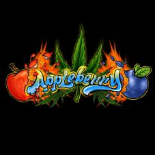 Sumo Seeds Appleberry feminizované semena