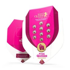 Royal Gorilla - 10 feminized seeds Royal Queen Seeds