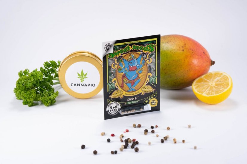 Jack 47 Fast Version - Feminisierte Samen 5 Stück Sweet Seeds