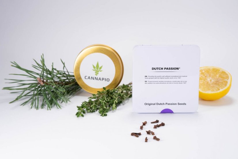 Auto Brooklyn Sunrise® - semințe feminizate și autofloritoare 7 buc Dutch Passion