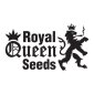 Royal Queen Seeds