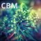 NEW CANNABINOID ON THE SCENE: MEET CBM