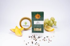 Blue Gelato 41- feminizovaná semienka 5 ks Barney's Farm