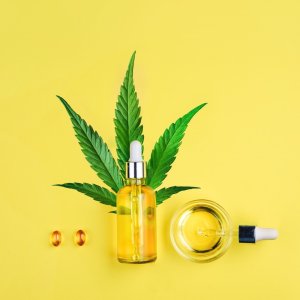 Difference in Effectiveness Between CBD Flowers and CBD Oil