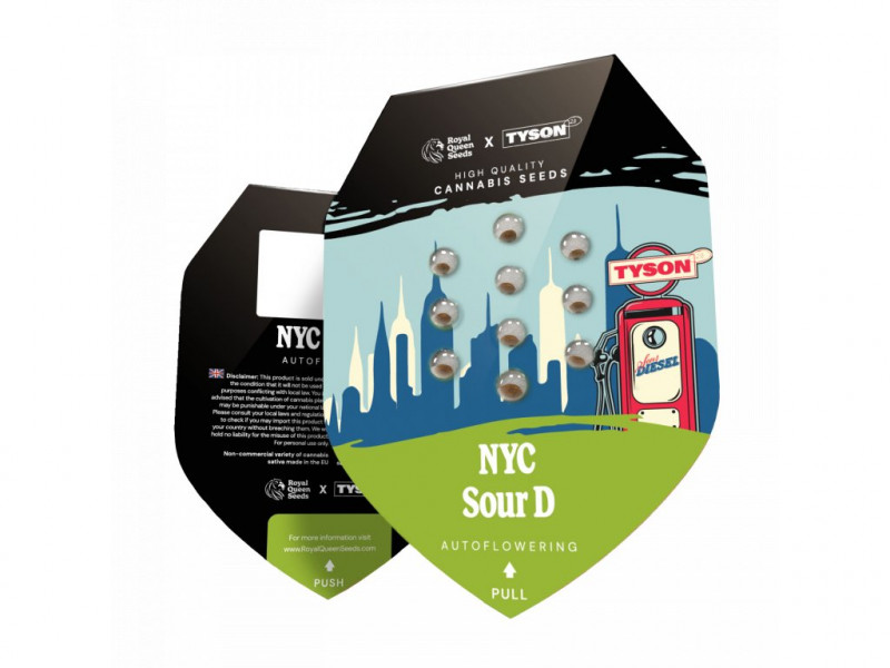 NYC Sour D - autoflowering 5Stck - Royal Queen Seeds x Mike Tyson